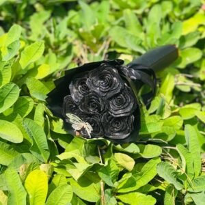 Noir Whisper Bouquet ( 10 Flowers )